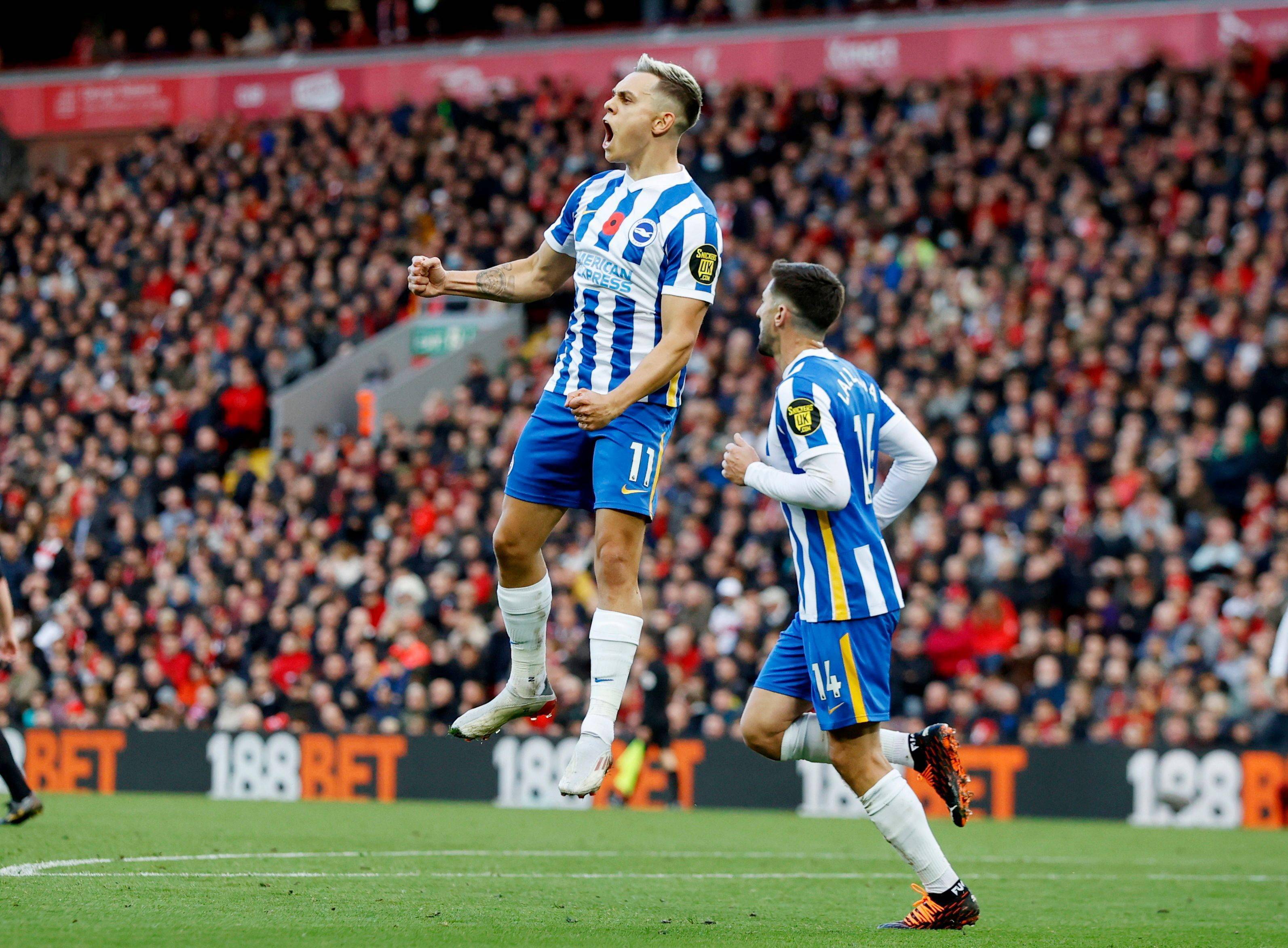 策略将更多 策略将更多